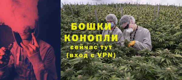 молекула духа Слюдянка