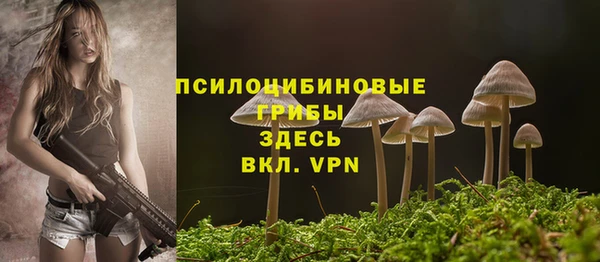 ECSTASY Сосновка