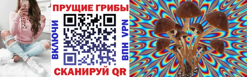 Псилоцибиновые грибы Magic Shrooms  Первомайск 